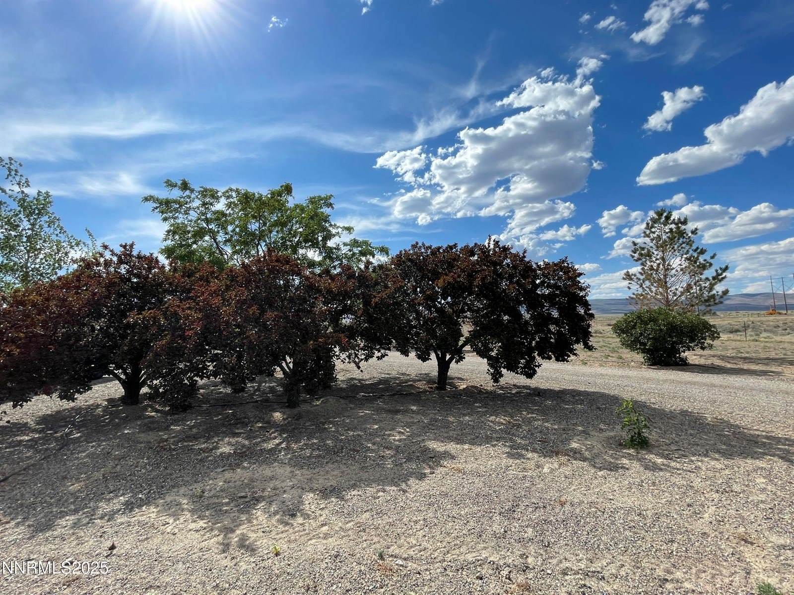 8770 W Ring Road, Crescent Valley, NV 89821