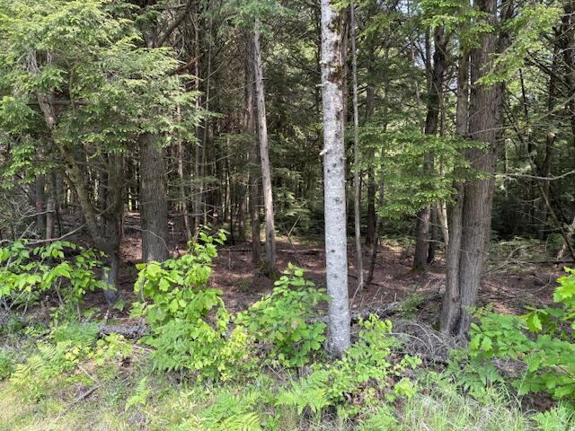 0 Kirkland Road, Old Town, ME 04468