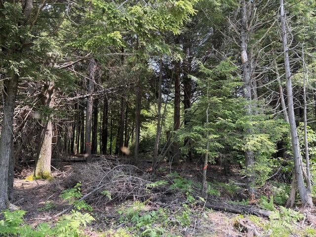 0 Kirkland Road, Old Town, ME 04468