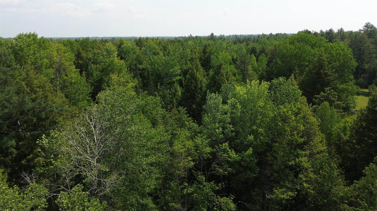 0 Kirkland Road, Old Town, ME 04468