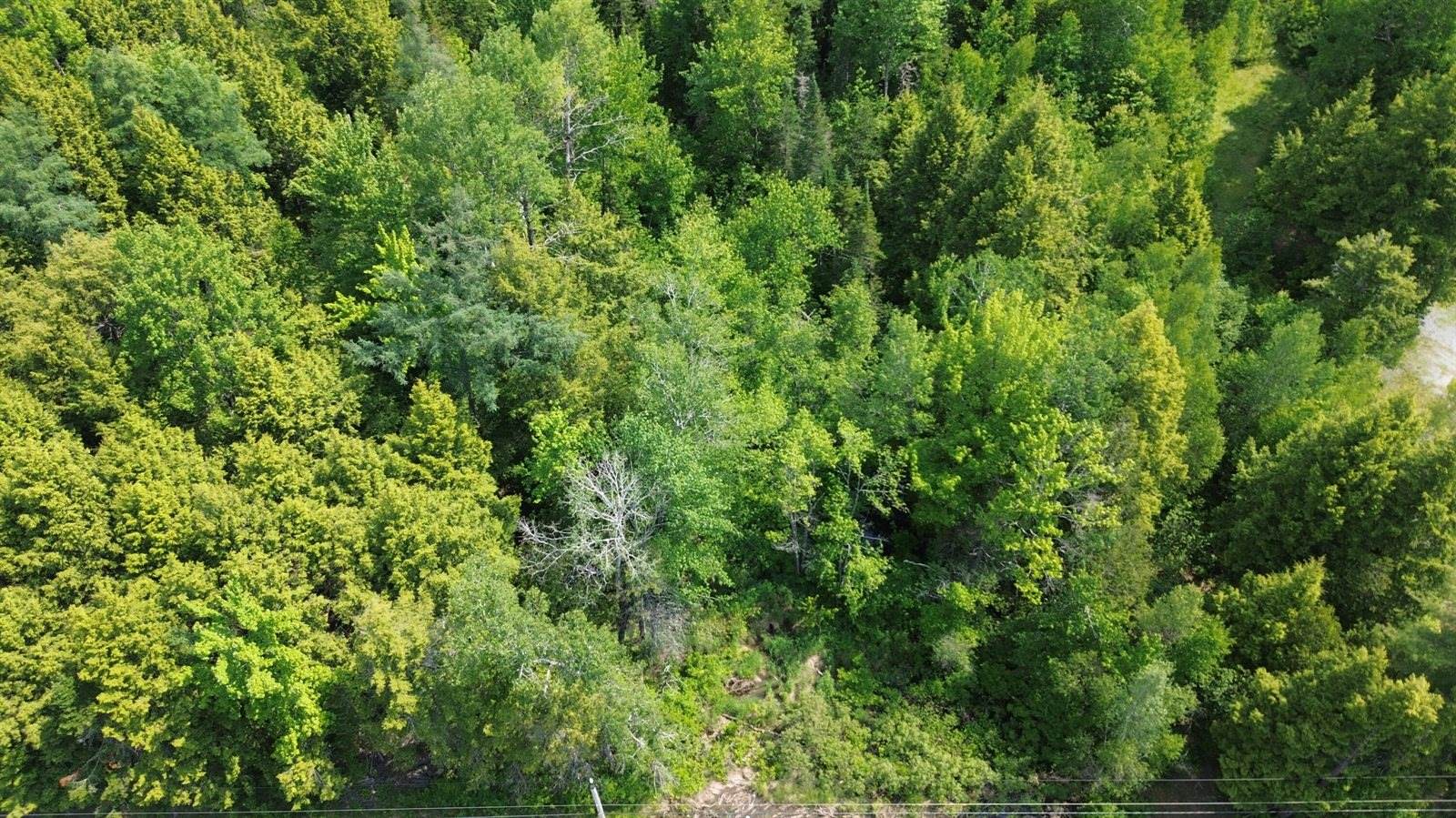 0 Kirkland Road, Old Town, ME 04468