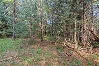 8841 County Road Z, Wisconsin Rapids, WI 54494