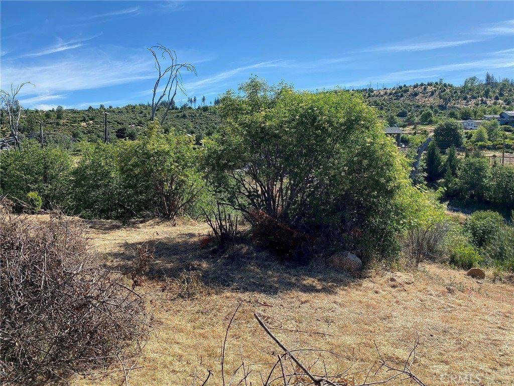 15330 Trinity Rd, Cobb, CA 95426