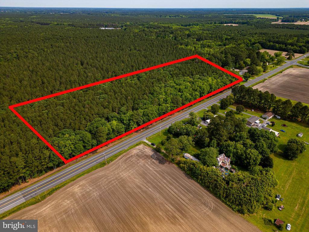 Parcel 103 Deal Island Road, Princess Anne, MD 21853