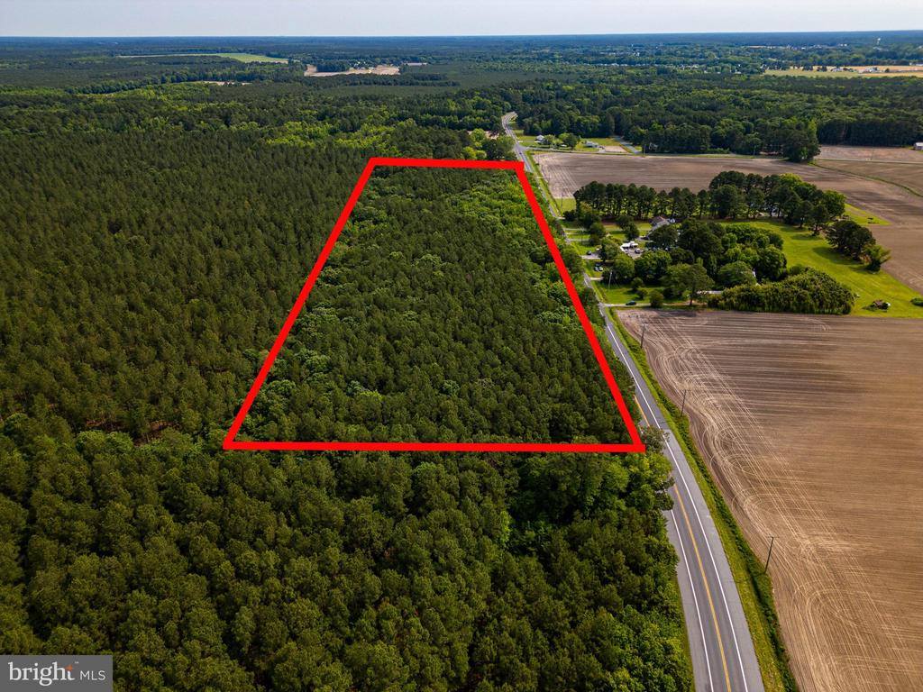 Parcel 103 Deal Island Road, Princess Anne, MD 21853