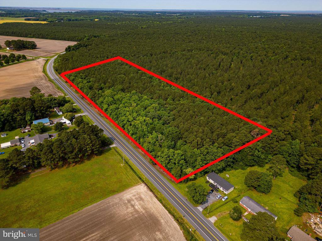 Parcel 103 Deal Island Road, Princess Anne, MD 21853