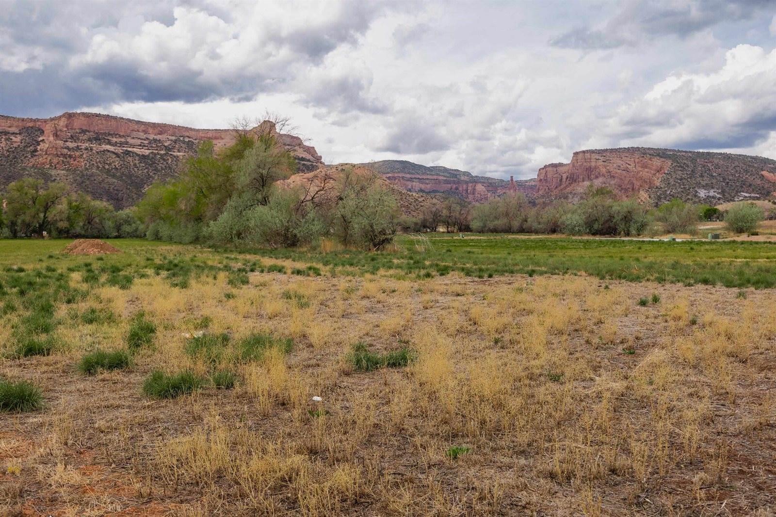 659 Ellen Drive, Grand Junction, CO 81507