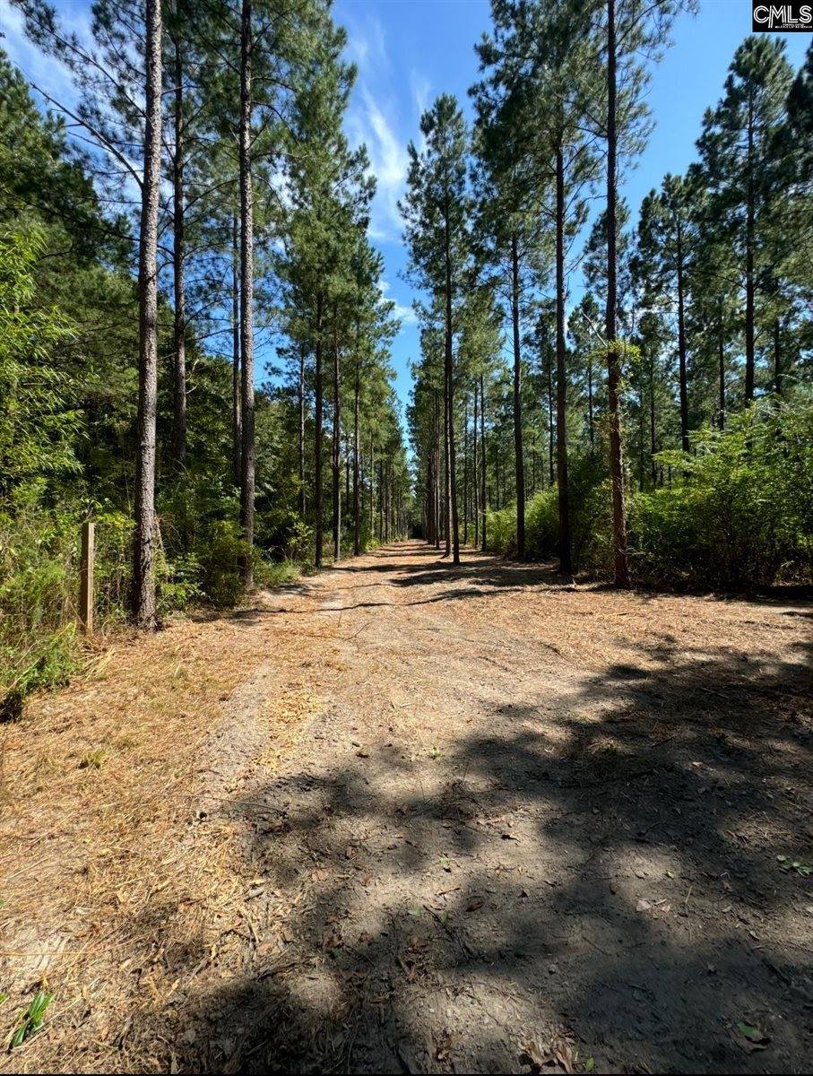 0 Bagpipe, Batesburg, SC 29006