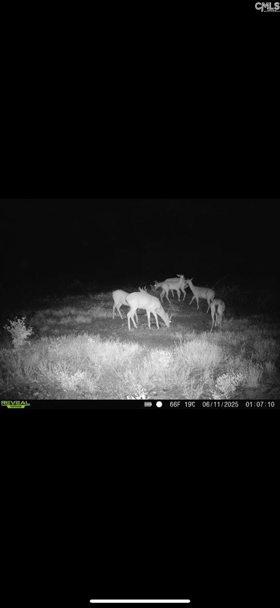 0 Bagpipe, Batesburg, SC 29006