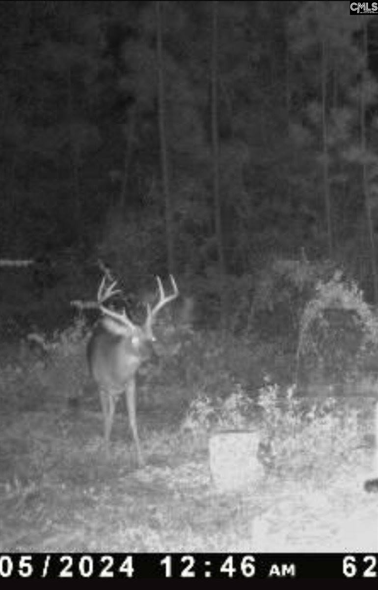 0 Bagpipe, Batesburg, SC 29006