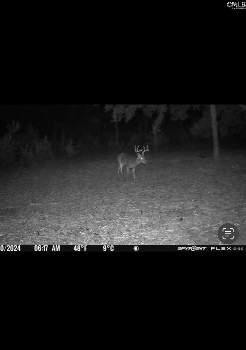 0 Bagpipe, Batesburg, SC 29006