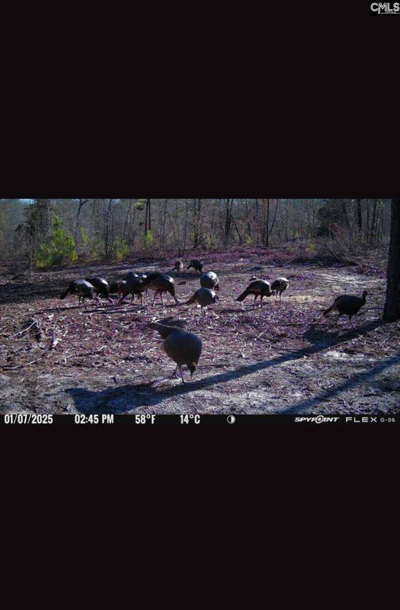 0 Bagpipe, Batesburg, SC 29006