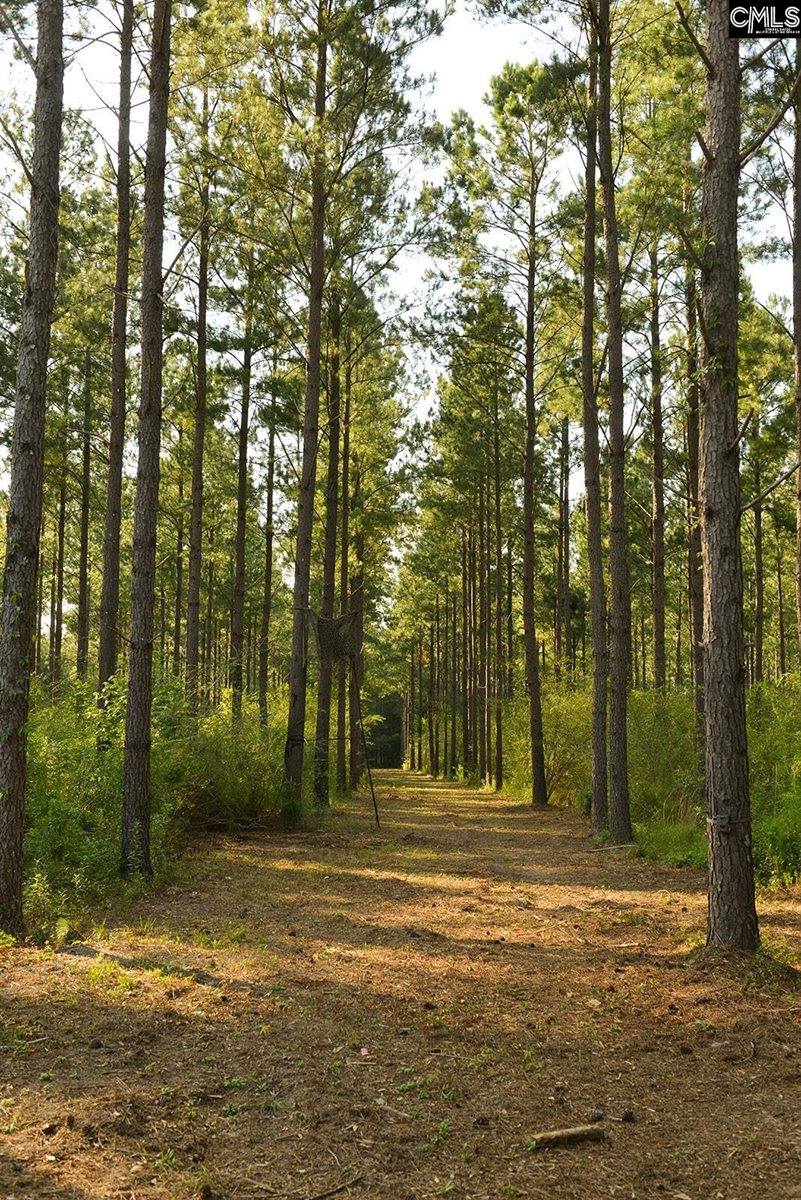 0 Bagpipe, Batesburg, SC 29006