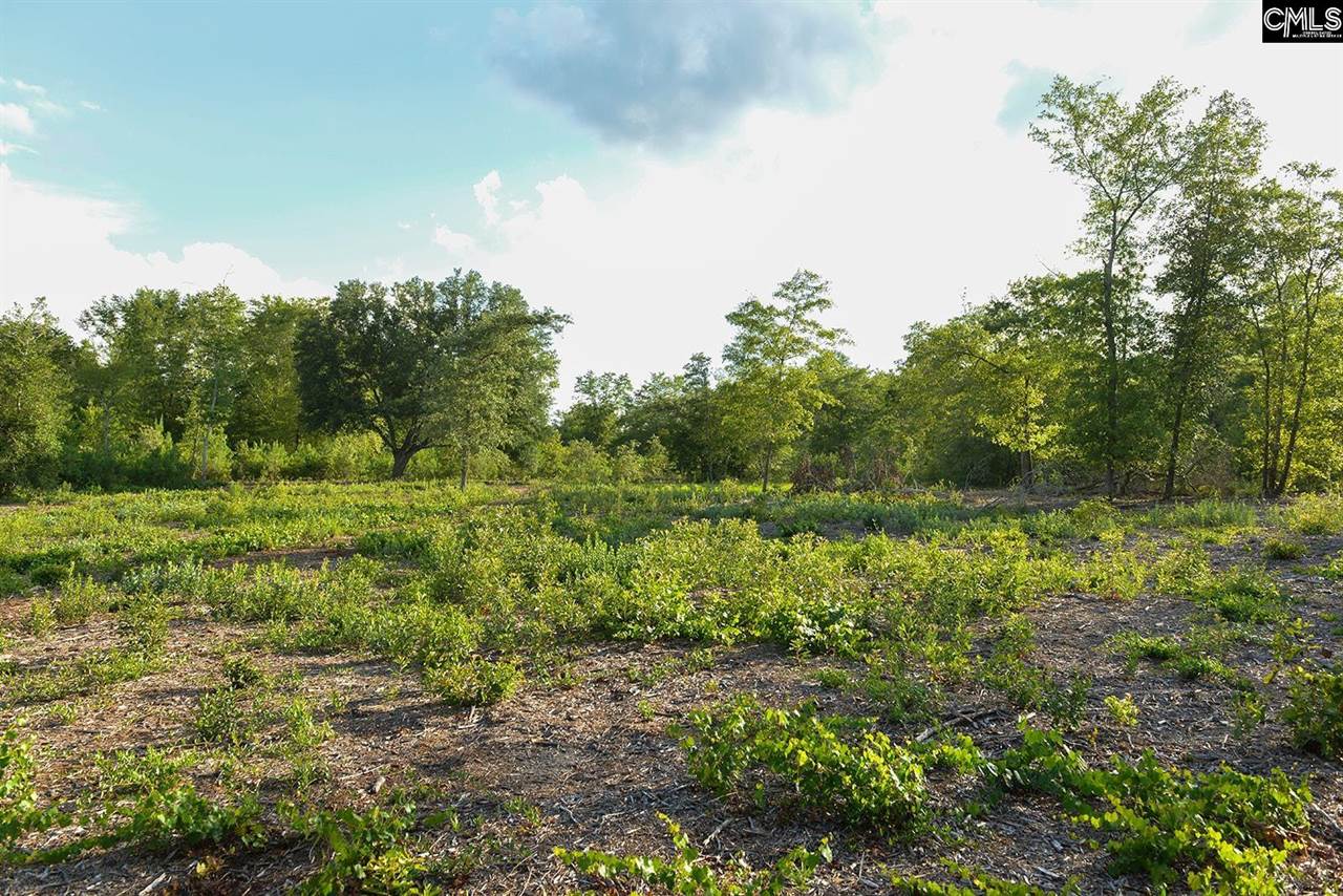0 Bagpipe, Batesburg, SC 29006