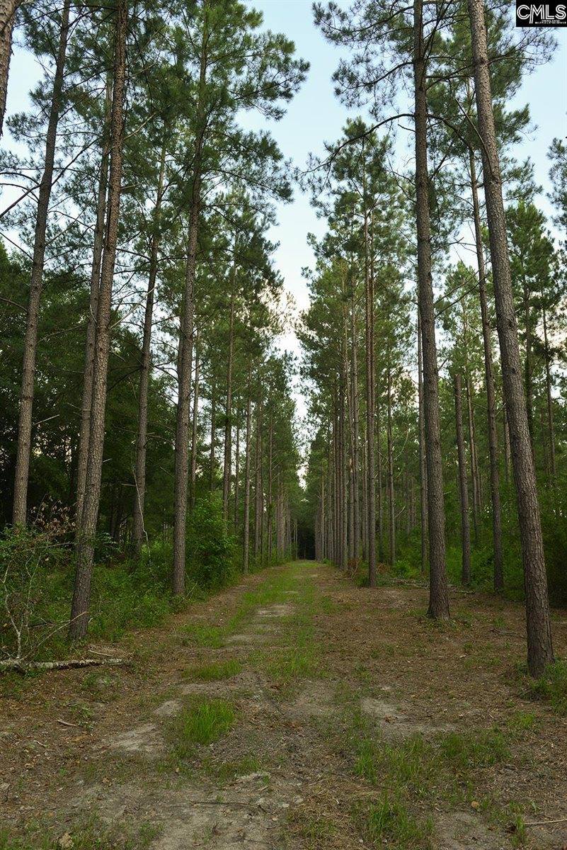 0 Bagpipe, Batesburg, SC 29006