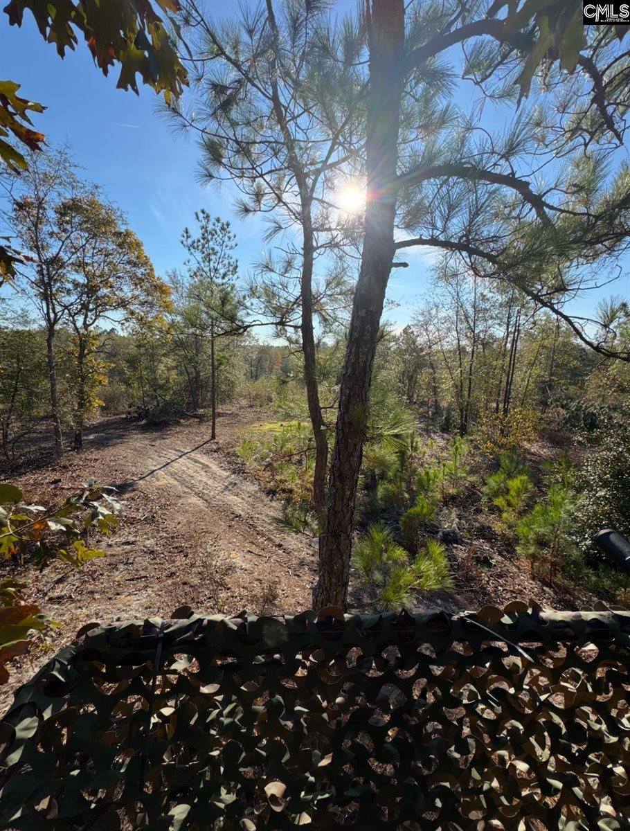 0 Bagpipe, Batesburg, SC 29006