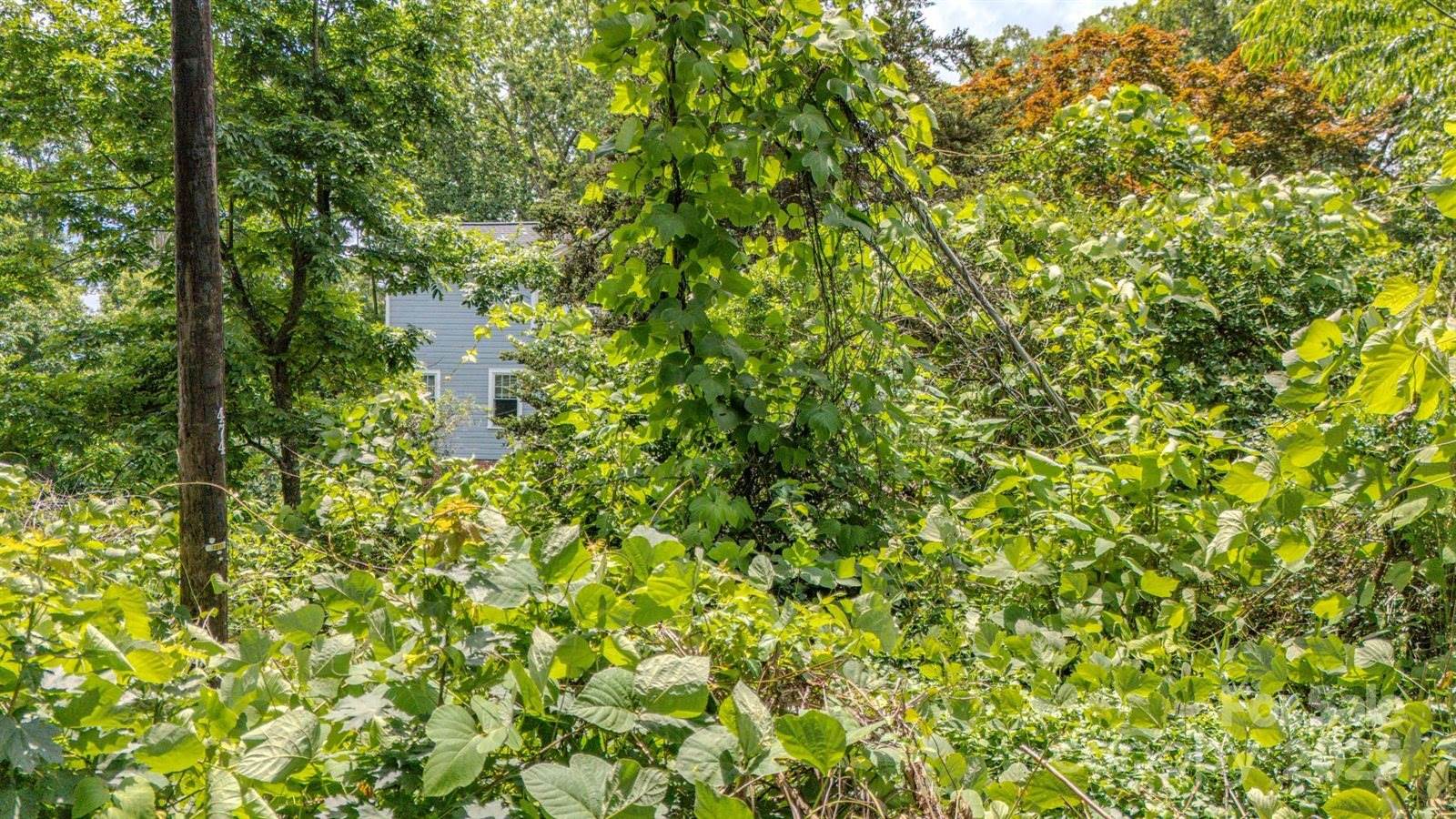 99999 Westchester Drive, Asheville, NC 28803