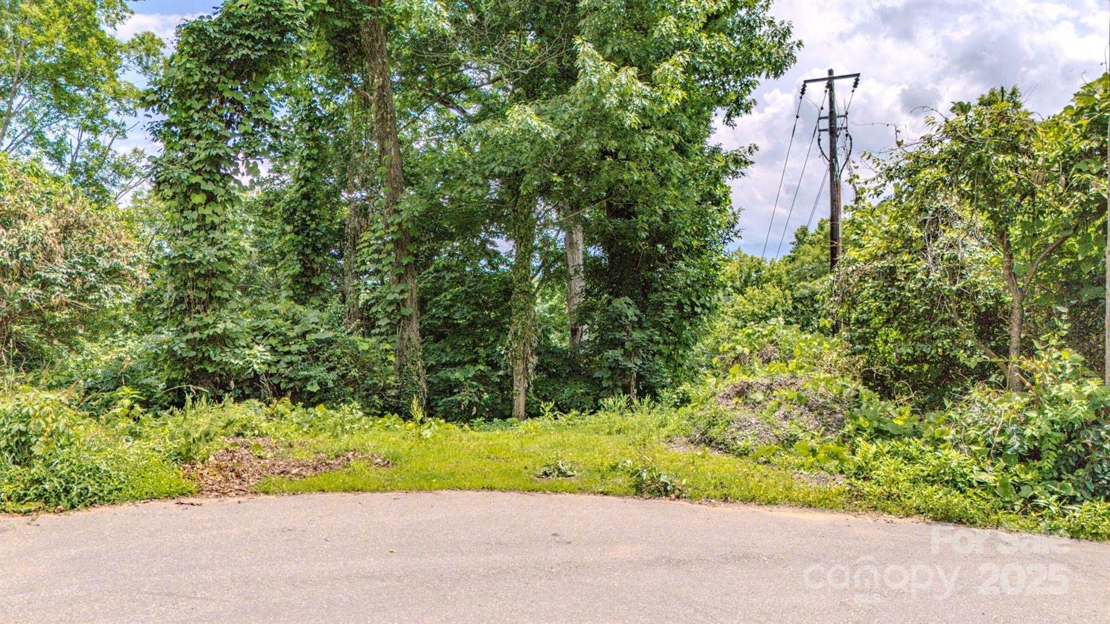 99999 Westchester Drive, Asheville, NC 28803