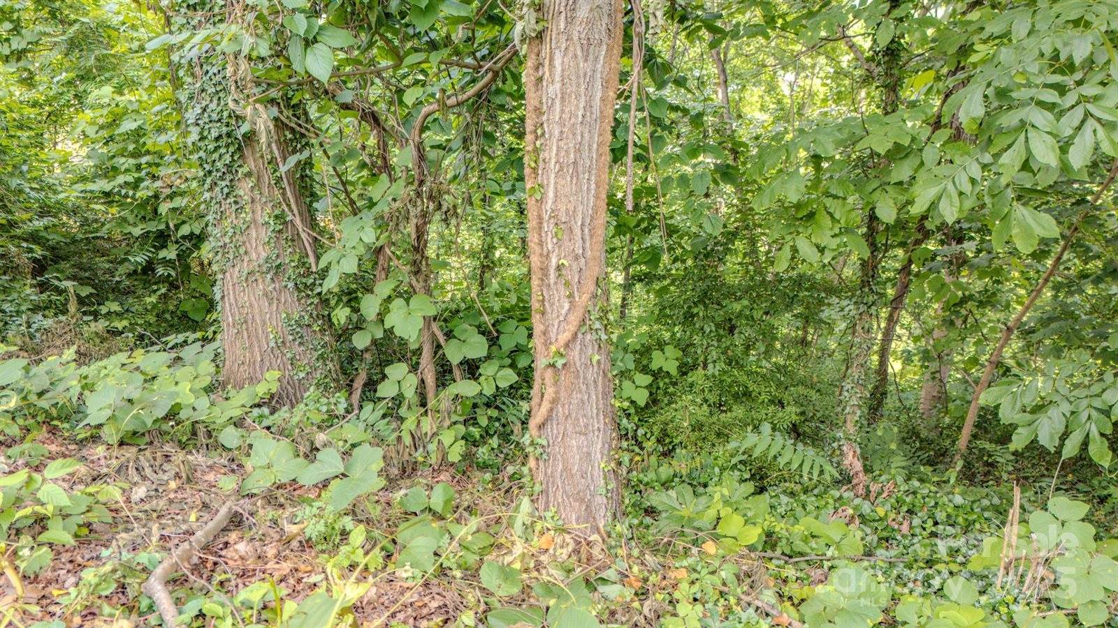 99999 Westchester Drive, Asheville, NC 28803