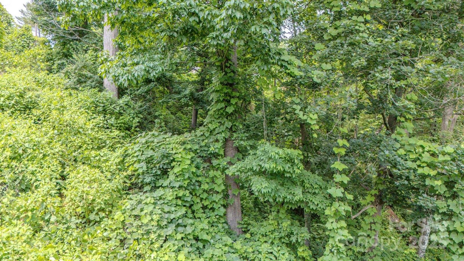 99999 Westchester Drive, Asheville, NC 28803