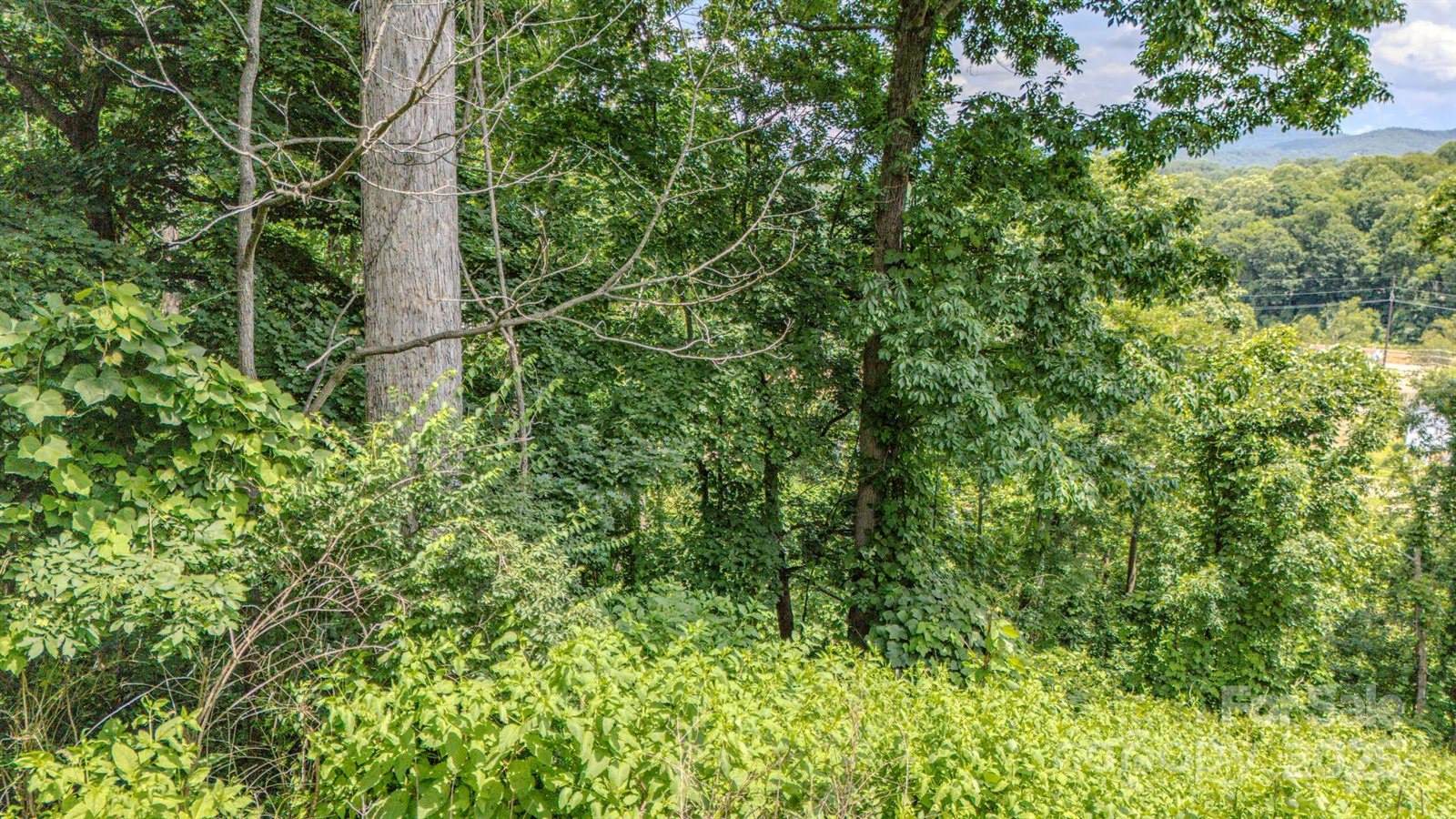 99999 Westchester Drive, Asheville, NC 28803