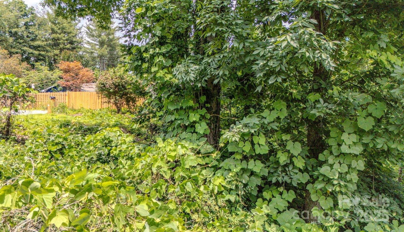 99999 Westchester Drive, Asheville, NC 28803