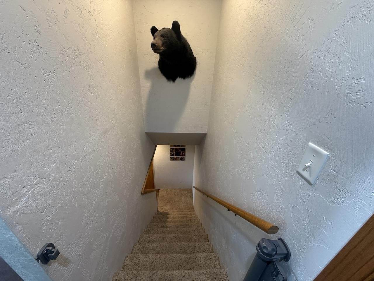 1500 Delmore Drive, Merrill, WI 54452