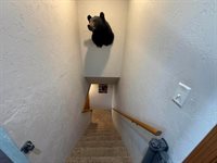 1500 Delmore Drive, Merrill, WI 54452