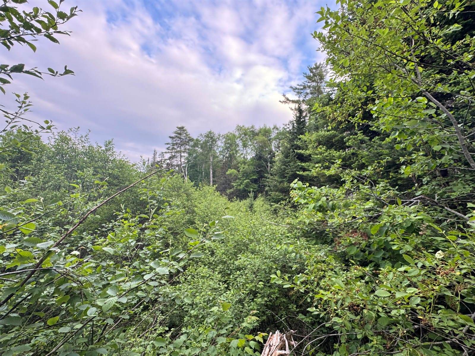 1215 Elliotsville Road, Elliottsville Township, ME 04443