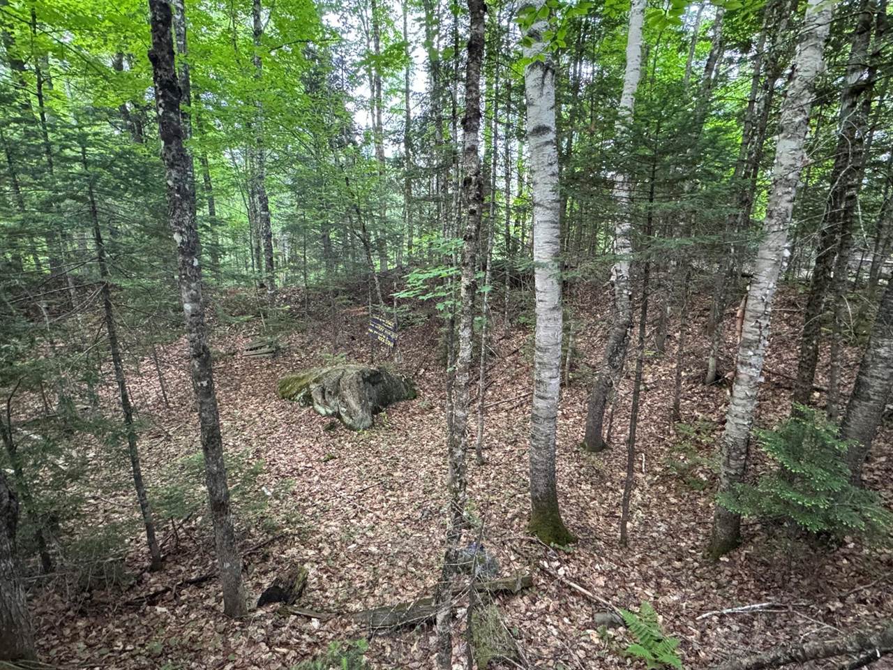 1215 Elliotsville Road, Elliottsville Township, ME 04443