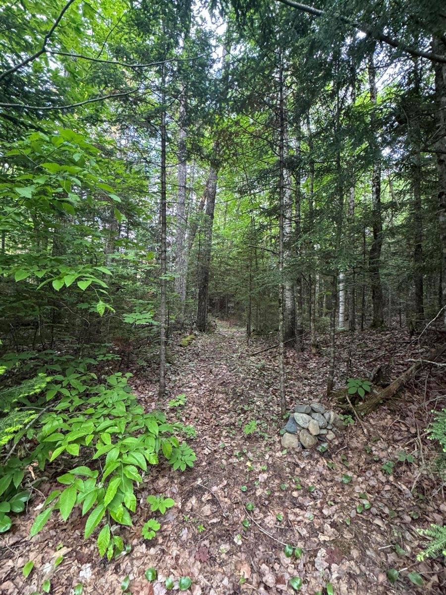 1215 Elliotsville Road, Elliottsville Township, ME 04443