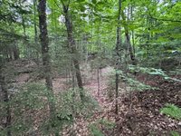 1215 Elliotsville Road, Elliottsville Township, ME 04443