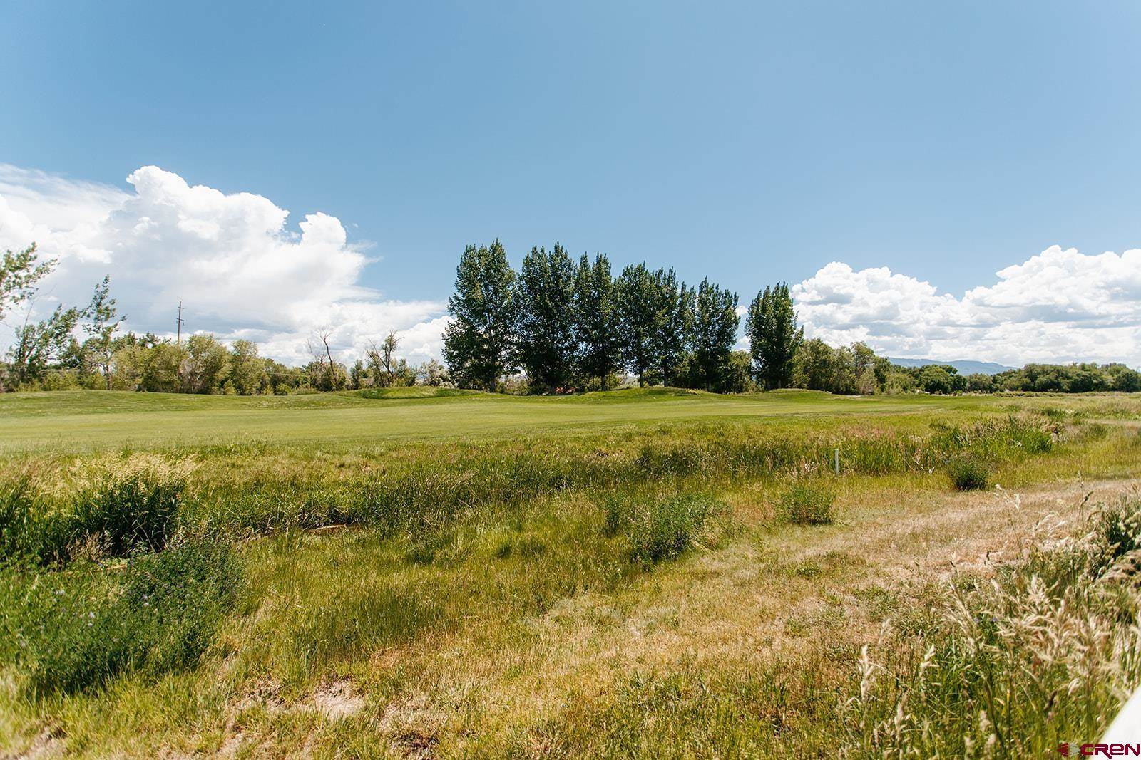 3901 Grand Mesa Drive, Montrose, CO 81403