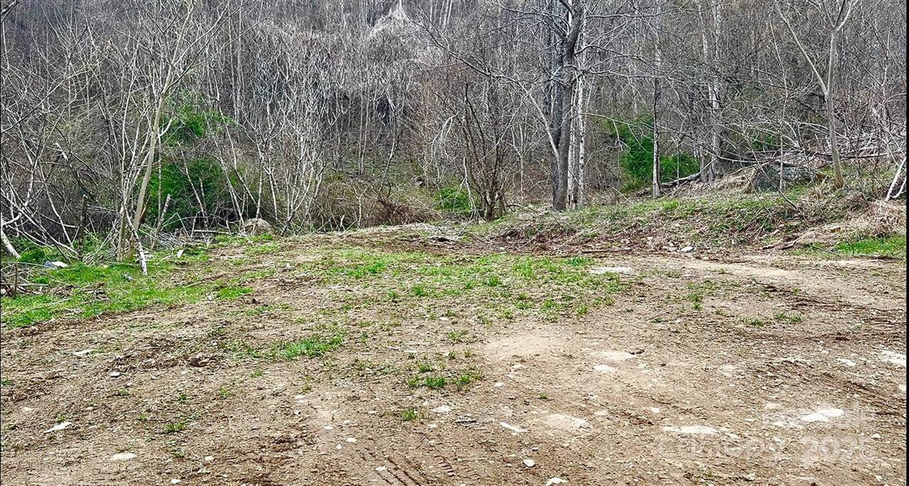 902 Spillcorn Road, Marshall, NC 28753