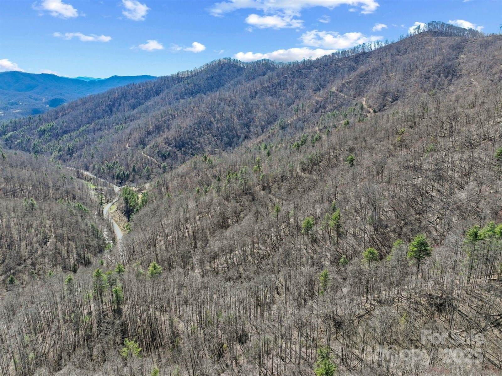 902 Spillcorn Road, Marshall, NC 28753