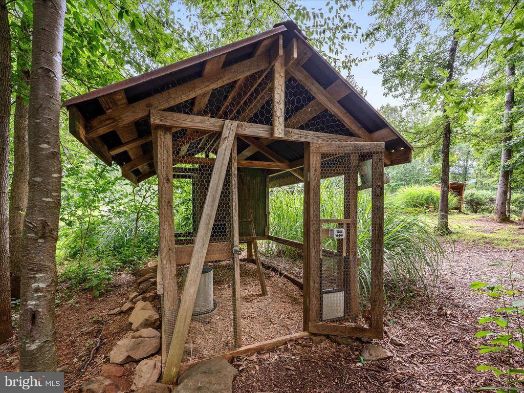 13293 Beechwood Lane, Rixeyville, VA 22737