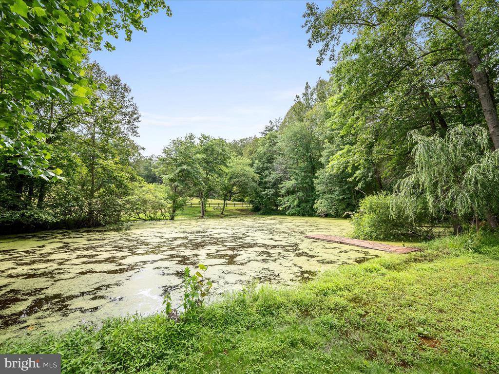 13293 Beechwood Lane, Rixeyville, VA 22737