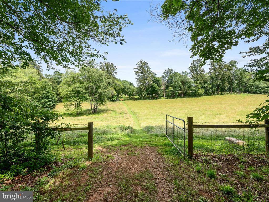 13293 Beechwood Lane, Rixeyville, VA 22737