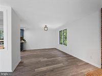 13293 Beechwood Lane, Rixeyville, VA 22737