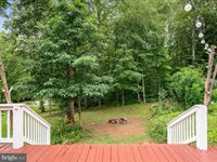 13293 Beechwood Lane, Rixeyville, VA 22737