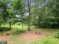 13293 Beechwood Lane, Rixeyville, VA 22737