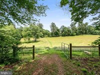 13293 Beechwood Lane, Rixeyville, VA 22737