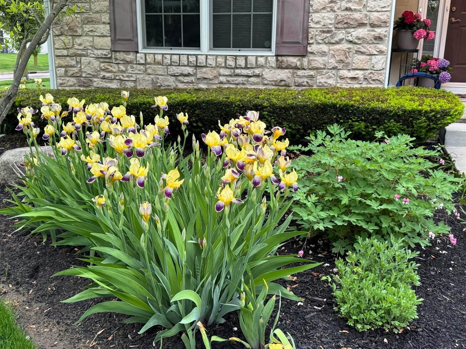 6270 Acacia Drive, Hilliard, OH 43026