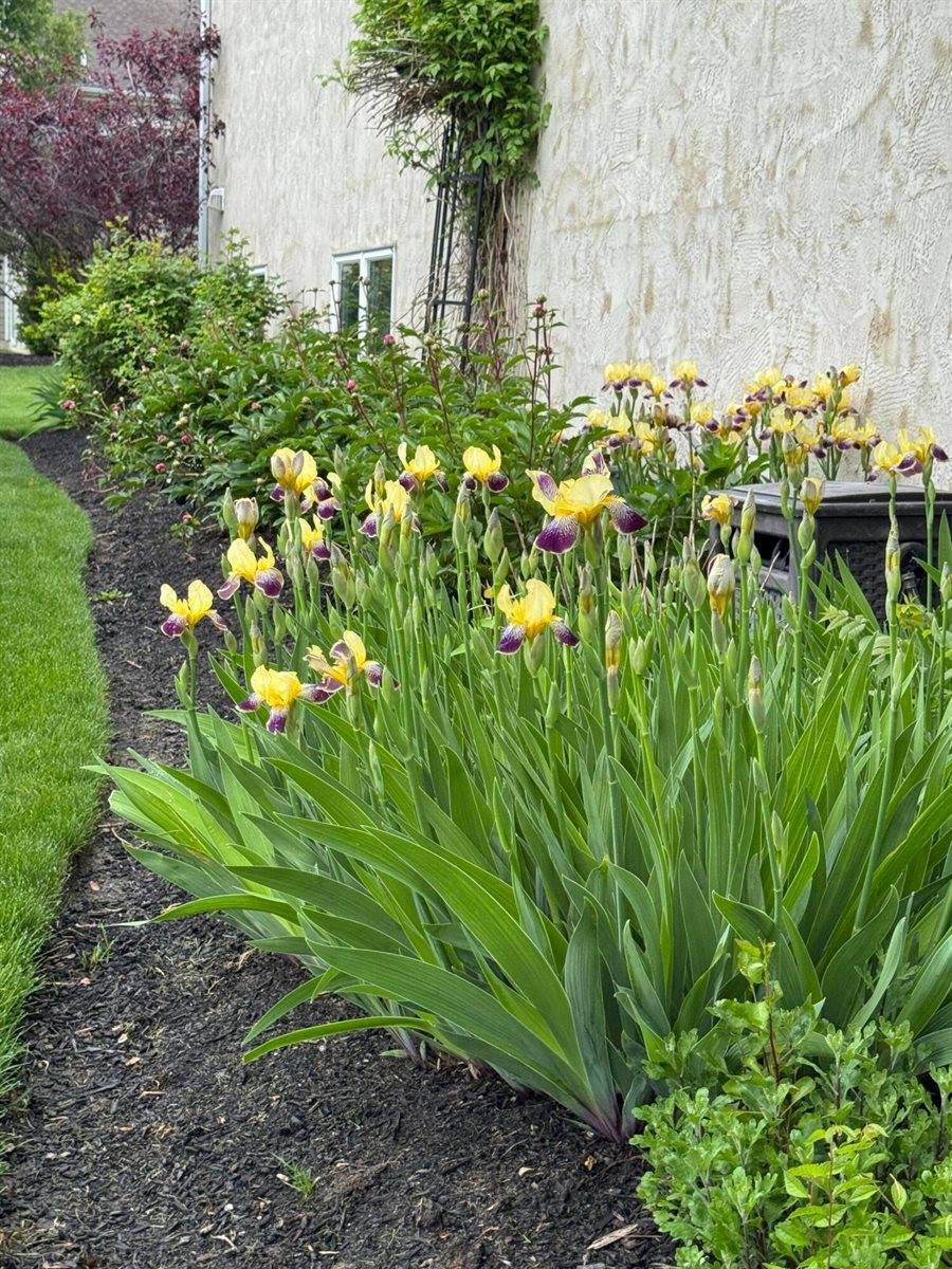 6270 Acacia Drive, Hilliard, OH 43026