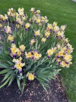 6270 Acacia Drive, Hilliard, OH 43026