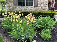 6270 Acacia Drive, Hilliard, OH 43026