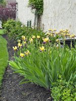 6270 Acacia Drive, Hilliard, OH 43026