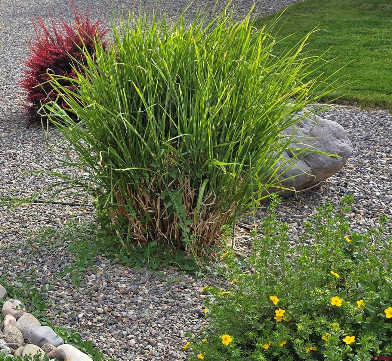 1285 Peppertree Drive, Montrose, CO 81401