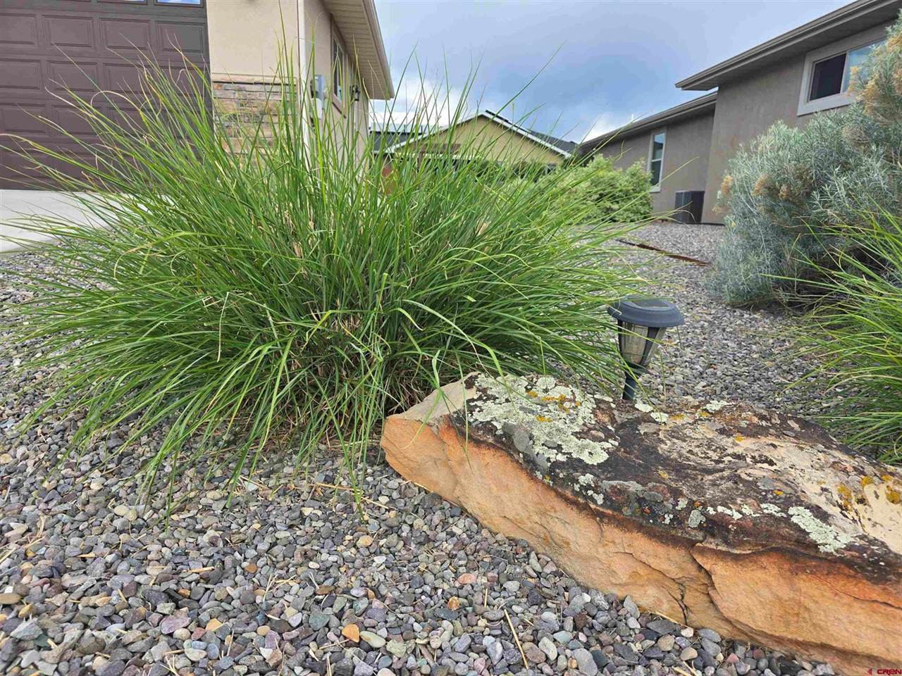 1285 Peppertree Drive, Montrose, CO 81401