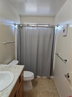 1285 Peppertree Drive, Montrose, CO 81401